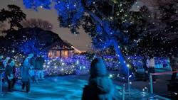 江の島シーキャンドルに投稿された画像（2025/12/27）