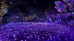 江の島シーキャンドルに投稿された画像（2025/12/27）