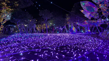 江の島シーキャンドルに投稿された画像（2025/12/27）