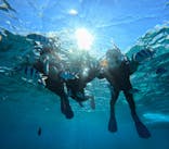 青の洞窟専門店　沖縄ダイビングショップ和に投稿された画像（2025/12/27）