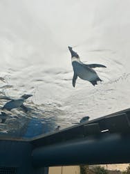 サンシャイン水族館に投稿された画像（2025/12/27）