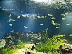 サンシャイン水族館に投稿された画像（2025/12/27）