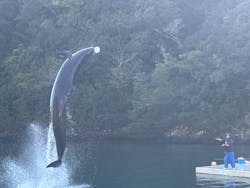 太地町立くじらの博物館に投稿された画像（2025/12/27）