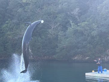 太地町立くじらの博物館に投稿された画像（2025/12/27）