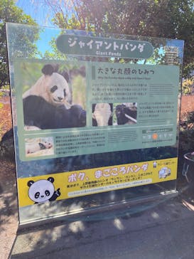 恩賜上野動物園に投稿された画像（2025/12/27）