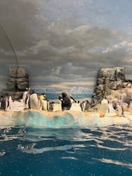 名古屋港水族館に投稿された画像（2025/12/27）