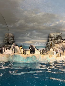名古屋港水族館に投稿された画像（2025/12/27）