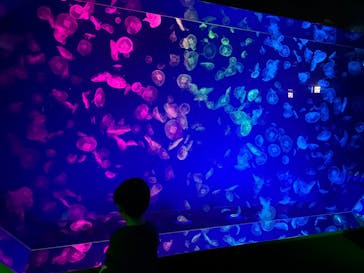 名古屋港水族館に投稿された画像（2025/12/27）