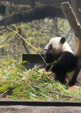 恩賜上野動物園に投稿された画像（2025/12/27）