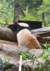 恩賜上野動物園に投稿された画像（2025/12/27）