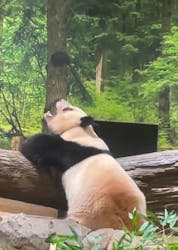 恩賜上野動物園に投稿された画像（2025/12/27）