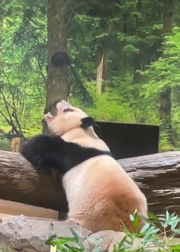 恩賜上野動物園に投稿された画像（2025/12/27）