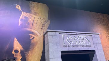 ACN ラムセス大王展 ファラオたちの黄金に投稿された画像（2025/12/27）