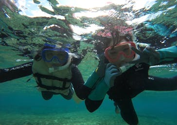 武藤潜水に投稿された画像（2025/12/27）