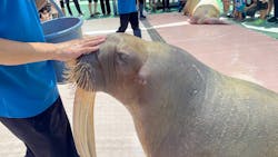 ゼロ距離水族館 伊勢シーパラダイスに投稿された画像（2025/12/27）