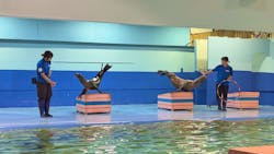 ゼロ距離水族館 伊勢シーパラダイスに投稿された画像（2025/12/27）