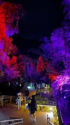 ニジゲンノモリに投稿された画像（2025/12/27）