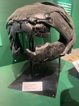 特別展「大絶滅展―生命史のビッグファイブ」に投稿された画像（2025/12/27）