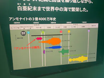 特別展「大絶滅展―生命史のビッグファイブ」に投稿された画像（2025/12/27）