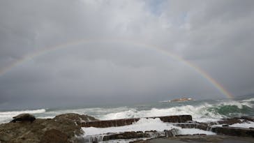 城崎マリンワールドに投稿された画像（2025/12/27）