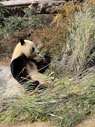 恩賜上野動物園に投稿された画像（2025/12/27）