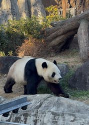 恩賜上野動物園に投稿された画像（2025/12/27）