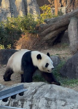 恩賜上野動物園に投稿された画像（2025/12/27）