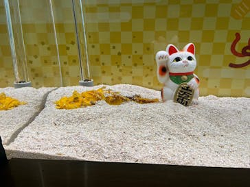 大分マリーンパレス水族館 「うみたまご」に投稿された画像（2025/12/27）