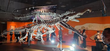 特別展「大絶滅展―生命史のビッグファイブ」に投稿された画像（2025/12/27）