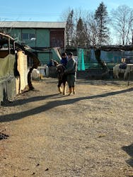 宇都宮動物園に投稿された画像（2025/12/27）