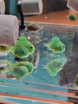 仙台うみの杜水族館に投稿された画像（2025/12/22）