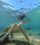 OKIDOKIマリンツアー宮古島に投稿された画像（2025/12/27）