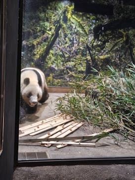 恩賜上野動物園に投稿された画像（2025/12/27）