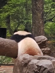 恩賜上野動物園に投稿された画像（2025/12/27）