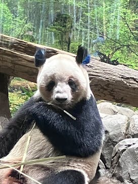 恩賜上野動物園に投稿された画像（2025/12/27）