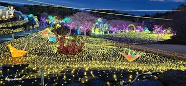 伊豆高原グランイルミに投稿された画像（2025/12/27）