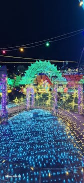 伊豆高原グランイルミに投稿された画像（2025/12/27）