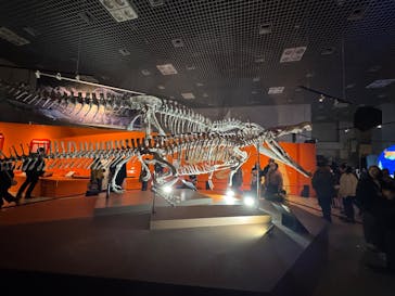 特別展「大絶滅展―生命史のビッグファイブ」に投稿された画像（2025/12/27）