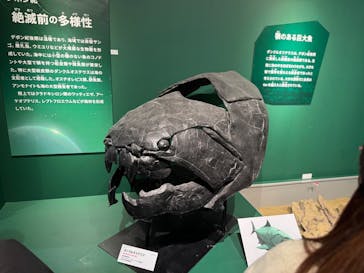 特別展「大絶滅展―生命史のビッグファイブ」に投稿された画像（2025/12/27）