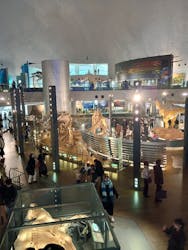福井県立恐竜博物館に投稿された画像（2025/12/27）