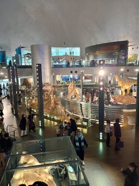 福井県立恐竜博物館に投稿された画像（2025/12/27）