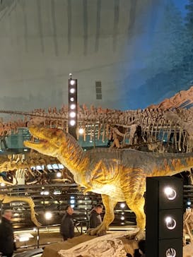 福井県立恐竜博物館に投稿された画像（2025/12/27）