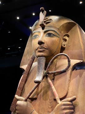 ACN ラムセス大王展 ファラオたちの黄金に投稿された画像（2025/12/27）