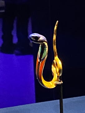 ACN ラムセス大王展 ファラオたちの黄金に投稿された画像（2025/12/27）