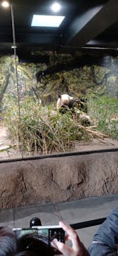 恩賜上野動物園に投稿された画像（2025/12/27）