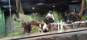 恩賜上野動物園に投稿された画像（2025/12/27）