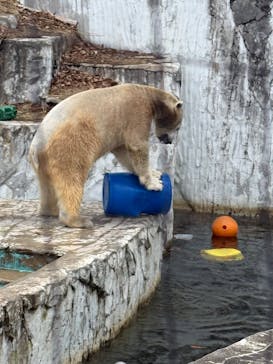 名古屋市東山動植物園に投稿された画像（2025/12/27）