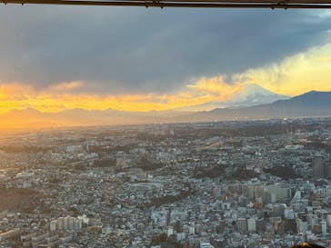 横浜ランドマークタワー 69階展望フロア スカイガーデンに投稿された画像（2025/12/27）