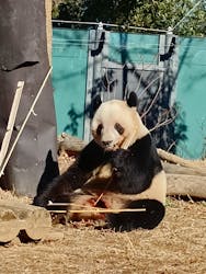 恩賜上野動物園に投稿された画像（2025/12/27）