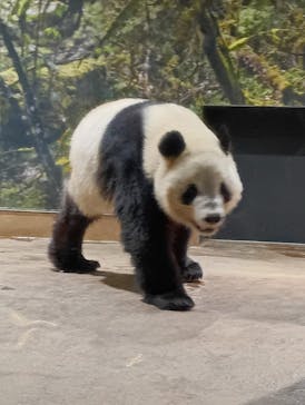 恩賜上野動物園に投稿された画像（2025/12/27）